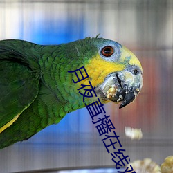 月夜直播(播)在线观看(看)视(視)频