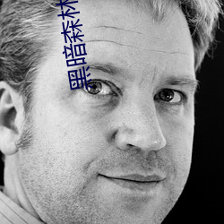黑暗森林小說