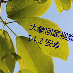 大(大)象回家视频三秒自(自)动跳转(轉)入口v0.14.2 安(安)卓(卓)
