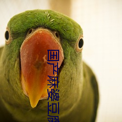 尊龙凯时-人生就是搏!