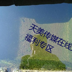 天美传媒在线入口(kǒu)网站大全再(zài)次开(kāi)放福利专(zhuān)区