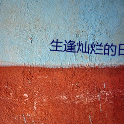 生逢灿烂的日子种丹妮剧照