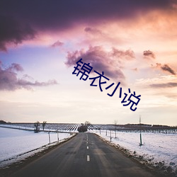 锦衣小说