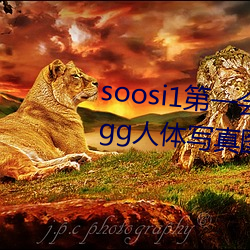 soosi1һ会所 APP97色色 gg人体写真图片 差）