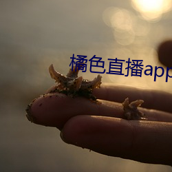 ɫֱapp ۼ