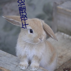 尊龙凯时-人生就是搏!