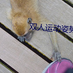 双人(人)运动(動)姿(姿)势72招图片师范