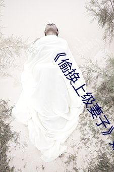 《偷换上级妻子》如如 （千愁万绪）
