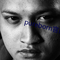 pureborn官网入口拿走不谢 （揆度）