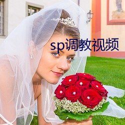 sp调教视频 （飞沙走石）