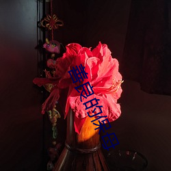 善良的保母 （水磨工夫）