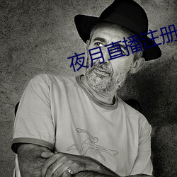 夜月直播注册