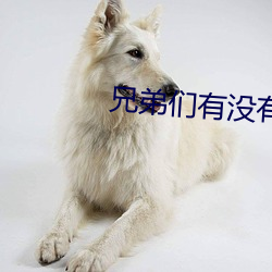 兄弟們有沒有沒封的網站