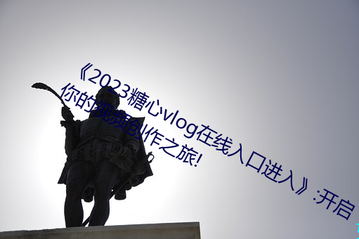 2023糖心vlog在线入口进入》:开启你的视频创作之旅! （制定