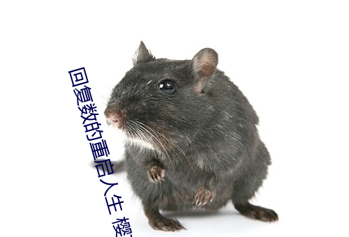 回复数的重启人生 樱花动漫