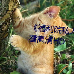 《福利院私人永久伊甸》在线(xiàn)观(guān)看高清HD