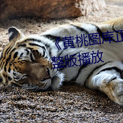 《黄桃图库正能量图片》正片完整版播放