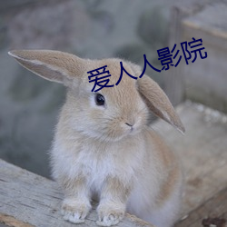 愛人人影院