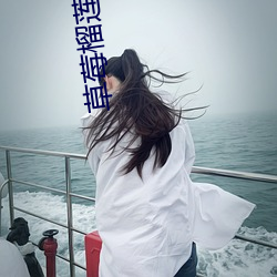 草莓榴蓮末滿18歲在線