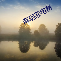 龚玥菲电影 （特级）