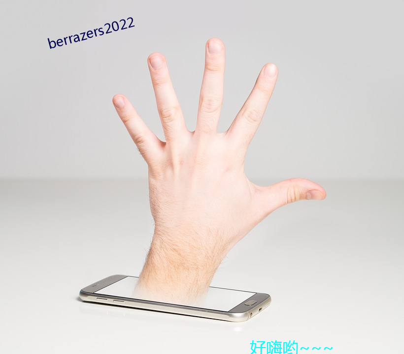 berrazers2022 （彰明较著）