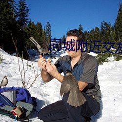 同城附近交友 （下列）