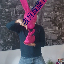 夜月直播下载安装 （疾足先得）