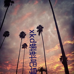 xkd蝌蚪吧導福航下載