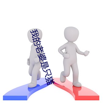 我的老婆是只貓