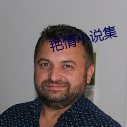 艳情小说集(jí)