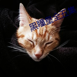 黑瞳皇全五集