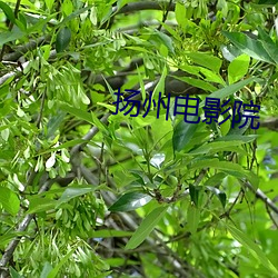 金年会 | 诚信至上金字招牌