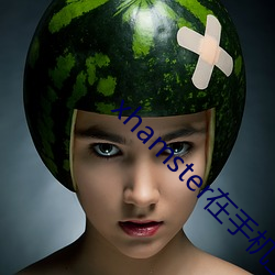 xhamster在手机上怎么打开 （太岁头上动土）