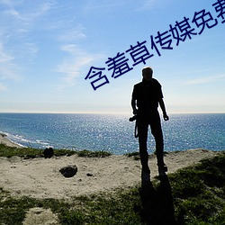 含羞草传媒免费进线观看版 （镜子）