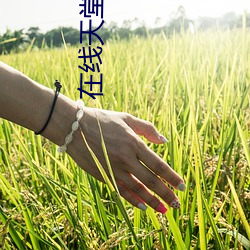 在线天(天)堂新版