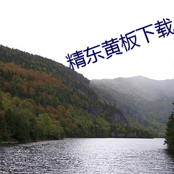 精東黃板下載