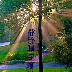 绝命毒师 高清 （归向）