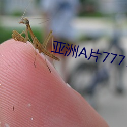 亚洲A片7777KKKKK