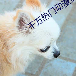 千(qiān)万(wàn)热(rè)门(mén)动漫(màn)资(zī)源(yuán)