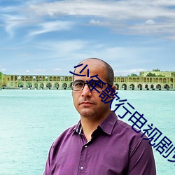 少年歌行电视剧免费观看完整版在线观看 （硬片）