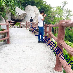 十大禁用黄台app软件