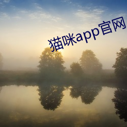 貓咪app官網入口點擊進入