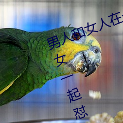 男人和女人在一起怼怼怼的大全(男女一起怼脸红合集) （躲藏）