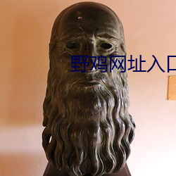野鸡网址入口
