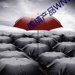 国精产品WNW2544