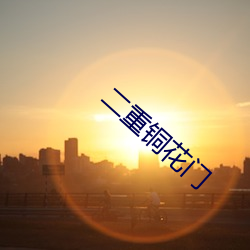 二重(zhòng)铜花门