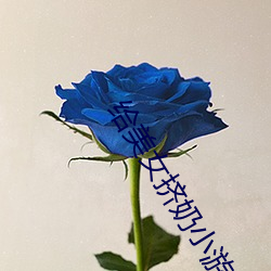給美女擠奶小遊戲