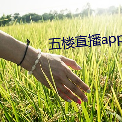 五楼ֱapp 冠济济