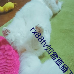 rx88tv如雪直播下載