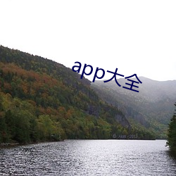 app大全